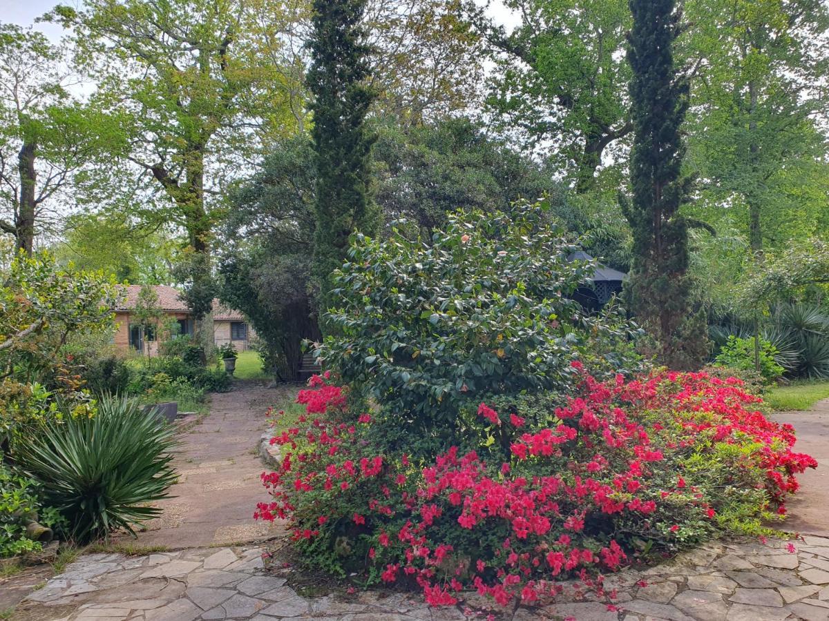 Manoir De Tireveste Lesperon  Екстериор снимка