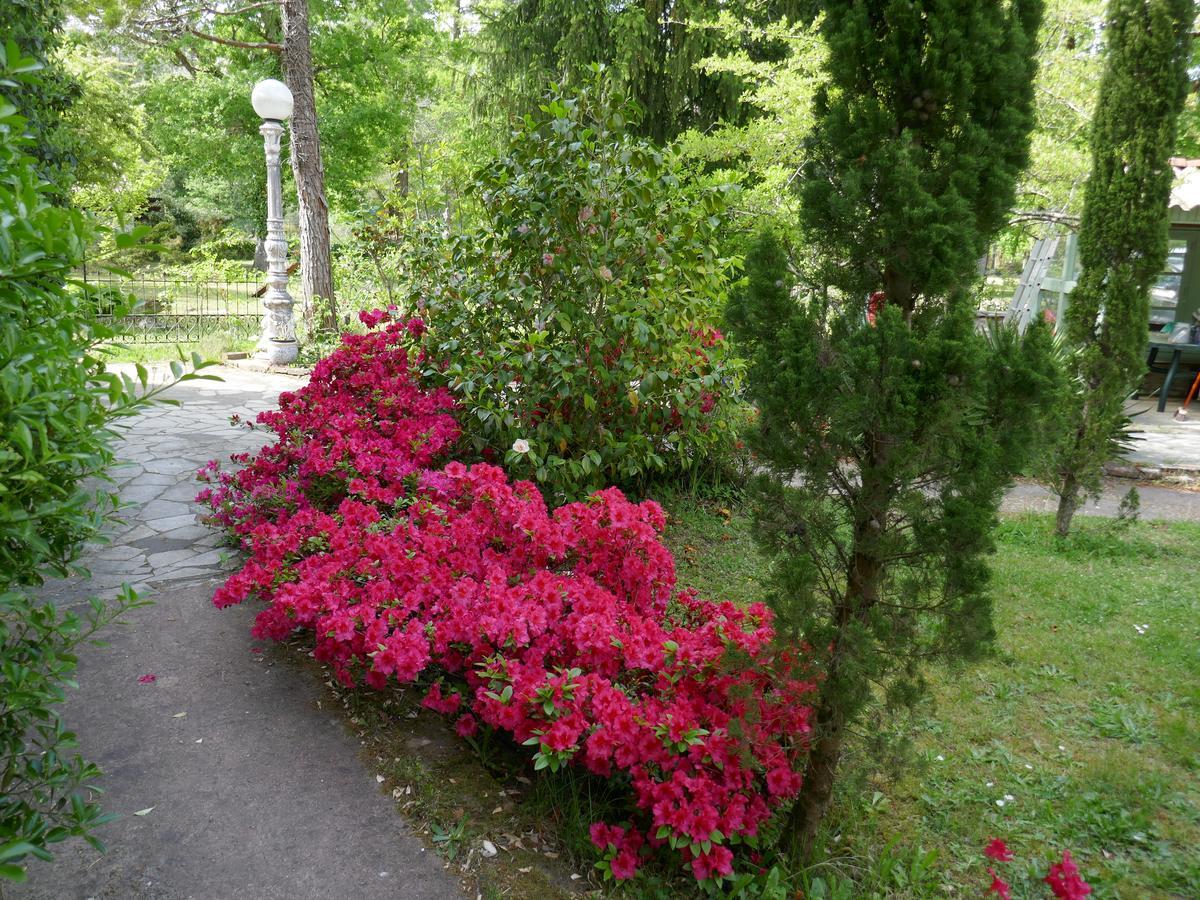 Manoir De Tireveste Lesperon  Екстериор снимка